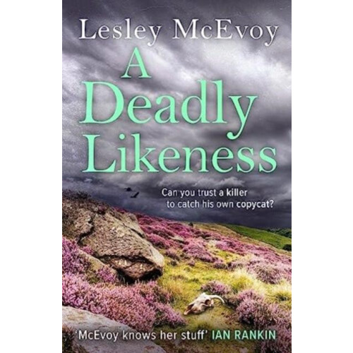 A Deadly Likeness by Lesley McEvoy Paperback Book
