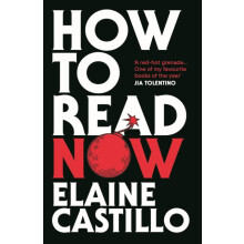How to Read Now by Elaine Castillo Paperback Book