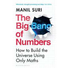 The Big Bang of Numbers by Manil Suri Paperback Book