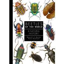 Beetles of the World by Patrice Bouchard Hardcover Book