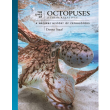 The Lives of Octopuses and Their Relatives by Danna Staaf Hardcover Bo