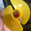Ice Auger Bit Fan Blade Nylon Drill with Adapter Float Ice Auger Bit Fan Blades Power Tools Drill Bits 6 Inch 5