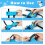 Winter Toddler Ice Skates, Adjustable Double Runner Ice Skates with Hook and Loop Fastener Straps 5