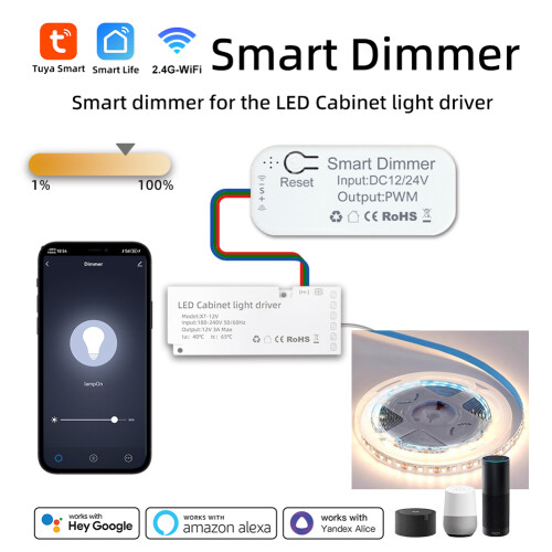 Modulo Dimmer WiFi per Luci DIY, 12/24V, PWM, Compatibile con Alexa e Google 1