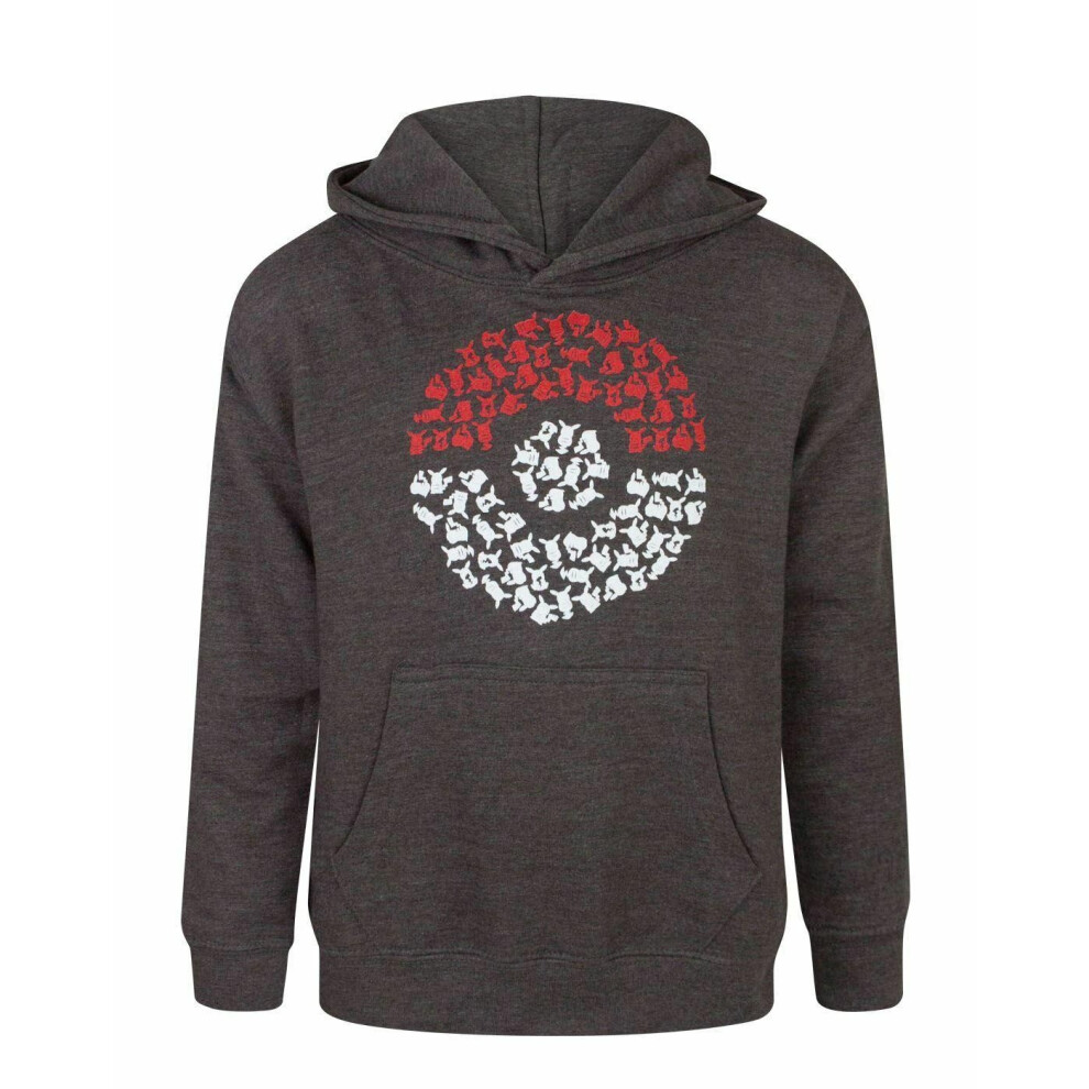 Pokémon Pokemon Boys Pokeball Hoodie Grey
