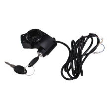 E-Bike/Elektrische Scooter Duimgaspedaal 12V/24V/36V/48V/60V/72V/84V/96V met LCD-Scherm Duimgaspedaal