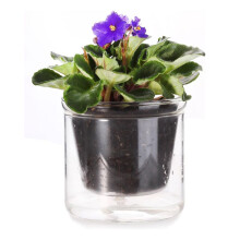 Vaso Autoirrigável de 4 Polegadas, Vaso para Violeta Africana, Vaso de Vidro com Fundo Irrigável para Plantas de Interior e Propagação