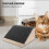 Rampe D'escalier En Bois Stable Pour Petits Animaux 6