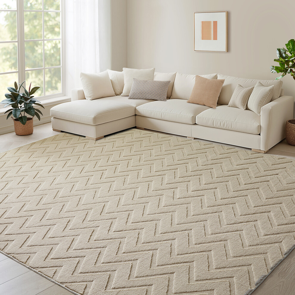 Aspire Homeware (160X230cm, Mink Waves) Carved Area Rugs-Soft Cut Pile Living Rooms Carpets Brown