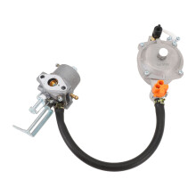 Dual-Fuel-Kraftstoffvergaser für LPG/NG 1 kW 1900H Aluminium-Rasenmäher