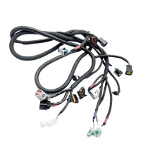 Kabelbaum für Elektronische Kraftstoffeinspritzung EFI 10909410001 für ODES 800CC LZ800 UTV Motorrad