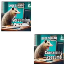 2026 Scream Possums Calendar January to December Thick, Full-Color Monthly Pages Gag Gift for Animal Lovers 2pcs