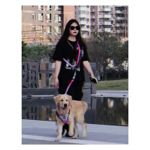 Hond Explosieveilige Lijn Dierenriem Taille Crossbody Vrije Handen Hondenriem Groen Camouflage