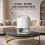Houszy 40W Semiconductor Dehumidifier 7