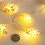 Beach Themed String Lights, LED Shells and Conches, Decorative Lights, Holiday Lights and Atmosphere Lights 6