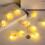 Beach Themed String Lights, LED Shells and Conches, Decorative Lights, Holiday Lights and Atmosphere Lights 3