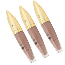 Ensemble de 3 gloss à lèvres mat longue durée résistants à l’eau, 5ml