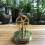 Low Temperature Stirling Engine Assembled Electricity Generator Heat Experiment Physical Generator Model 6
