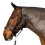 Gallop Premium Leather Padded Horse Headcollar 2