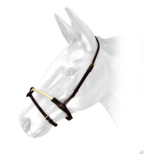 (Full, Oak Brown) Whitaker RNB Leather Horse Noseband