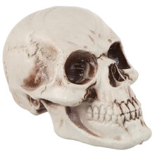 2Pcs Assorted Color Halloween Skull Ornament Plastic Decor