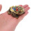 5Pcs Copper Toad Ornament for Office and Desktop 4