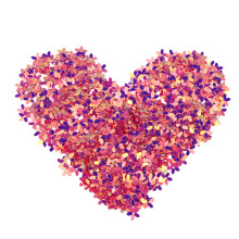 800Pièces Écussons Décoratifs Rosy Fleurs Pailletées Pour Vêtements