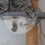 Capsule En Dôme Transparent Pet, Support Fenêtre Pour Chats 6