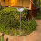 Bain En Fer Jardin Décor Vintage Multifonction 6