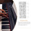 Raindrops Muziekinstrument Accessoire Piano Shenda 9
