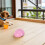 4Pcs Small Dog Motorcycle Pink Adjustable Protective Headgear 9