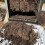 200 Litre Aerobin Hot Compost Bin-Brunswick Green 3