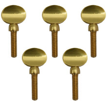 5 STÜCKE Gold-Kupfer-Klarinetten-Saxophon-Saxophonhals-Anziehschrauben Sopran-Alt-Tenor-Holzblasinstrument