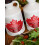 47? North Single Source Organic Canadian Maple Syrup, Grade A Dark Robust 1l 3