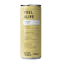 WaterJunkie FEEL ALIVE | Chaga Infused Sparkling Functional Mushroom Drink | Coconut & Lychee | 12x250ml