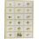 Pidy Mini Cones Neutral, 75 mm - 112 Portions 2