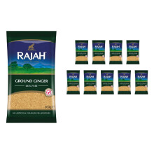 Rajah Spices Ground Ginger Powder | Ada | Adark | ADU | Adrak | (300g (Pack of 10))