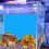 4Pièces Décor Fond Aquarium Résistant Pour Surface Lisse 10