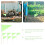 40Pcs Triangular Green Marker Flags Durable Bamboo Polyester for Lawn 11