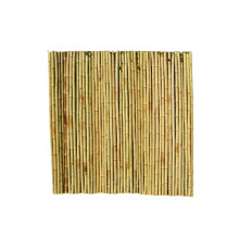 Roll Screen for Garden Fencing - Bamboo - L200 x W3 x H200 cm - Moso