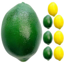 40Pcs Lifelike Artificial Lemon Models Foam Fake Fruit Decor for Home