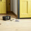 2St Deurstopper Rvs Winddicht Anti-Bots Vloer En 7