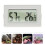 10Pièces Thermomètre Hygromètre Digital Usage Extérieur 10