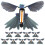 50St Wind-Up Vliegende Vogel Feest Speelgoed 1