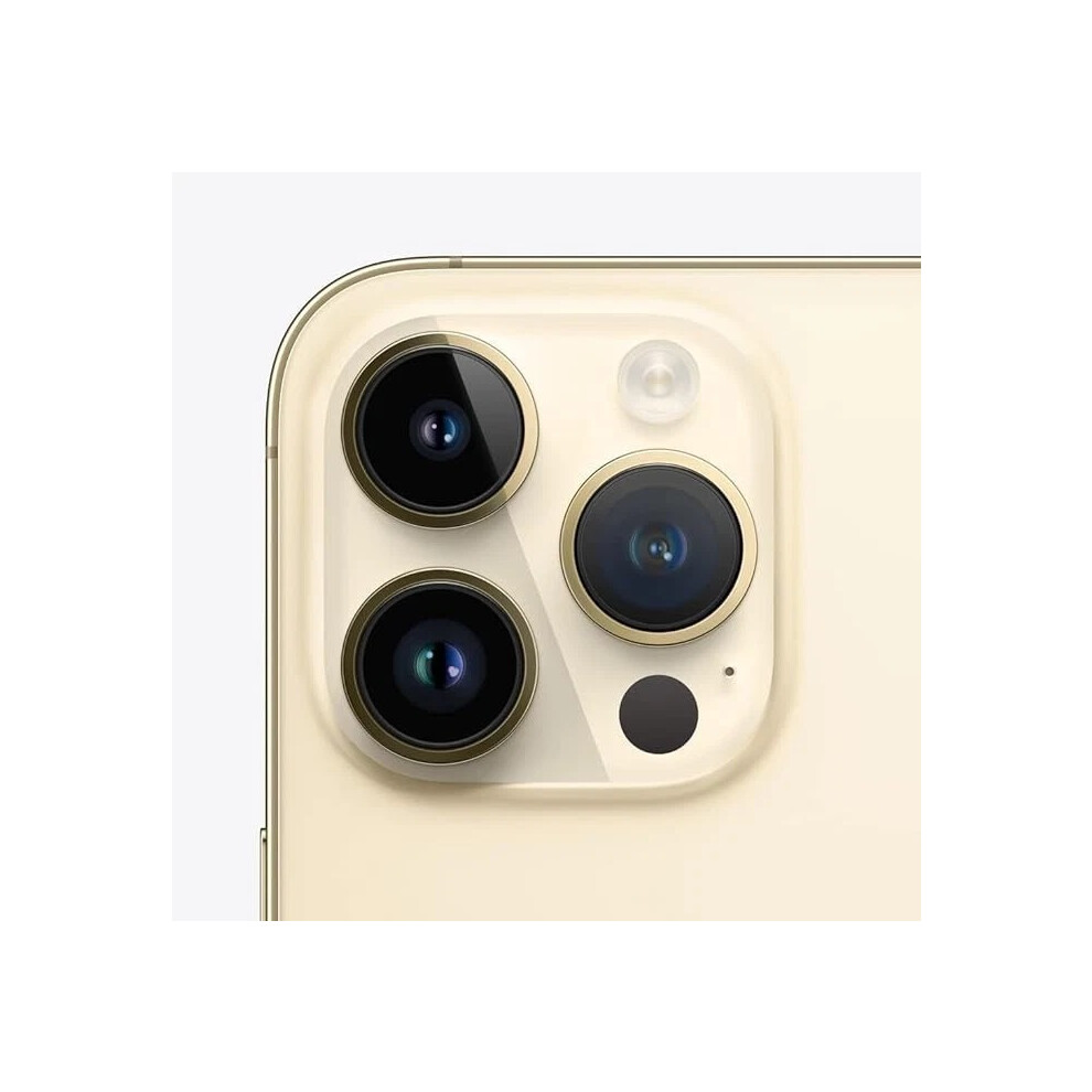Apple Iphone 14 Pro Max Gold 256Gb Single Sim