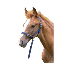 (Foal/Mini, Navy) Shires Foal Slip Headpiece