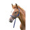 (Foal/Mini, Navy) Shires Foal Slip Headpiece 1