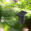 Wind Spinner Motor Solar Hanging Display Motor Rotating Solar  Wind Spinner Motor Rotatable Hook for Wind Chimes 2