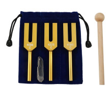 Stemvorkenset 4096 Hz 4160 Hz 4225 Hz voor Klankgenezing, Muziekinstrument, Geluidstrillingen, A