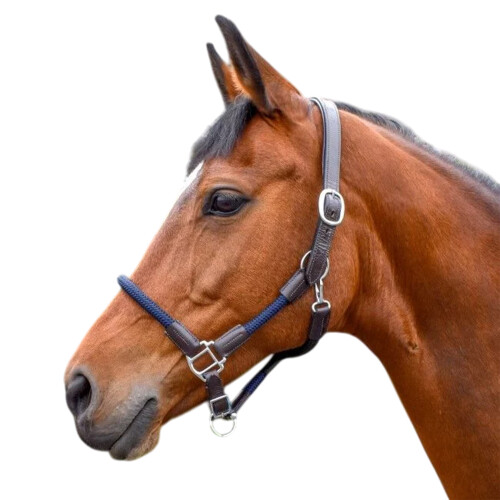 Whitaker Raywell Leather Soft Horse Rope Headcollar 1